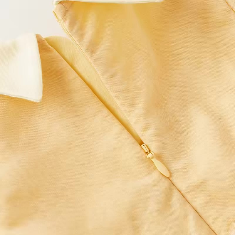 Vestido Amarelo com Bordado